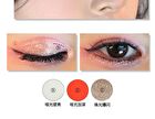 Bionics Project 12-Color Chameleon Eyeshadow Palette - #20g