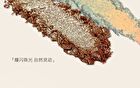 DANAZANA Flash Chameleon Eyeshadow - 2 Colors - #02 Pure desire - 1.8g