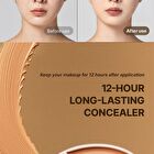 Tfit Cover Up Pro Concealer - 7 Types - #05 Deep