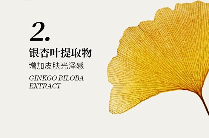 Xunhuiji Aloe Vera Fresh Gel - 40g