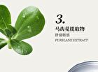 Xunhuiji Aloe Vera Fresh Gel - 40g