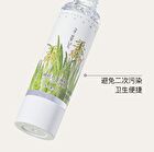 Xunhuiji Aloe Vera Fresh Gel - 40g