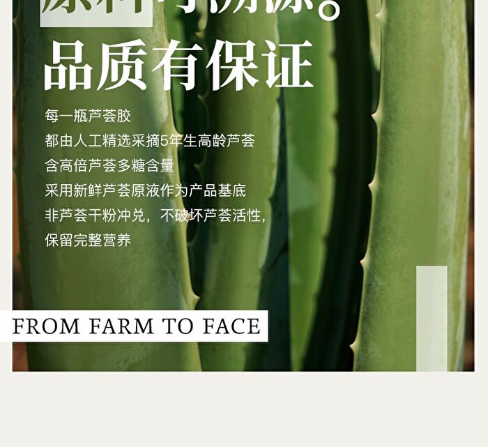 Xunhuiji Aloe Vera Fresh Gel - 40g