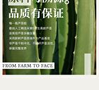 Xunhuiji Aloe Vera Fresh Gel - 40g