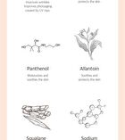 Youth Core Eye Cream - 30ml