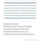Crossbarrier Mask - 30 sheets