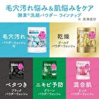 Suisai Beauty Clear Green Powder Wash - 32 pcs