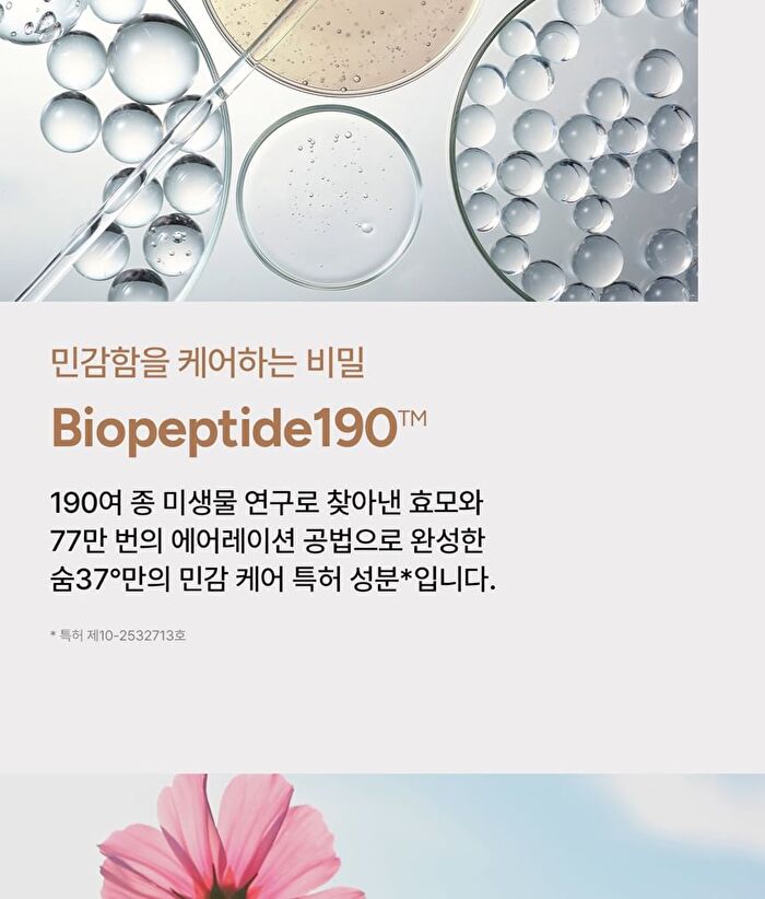 su:m37 Skin-Stay Soft Glow Cushion Set - 2 Colors - #02 Natural Beige