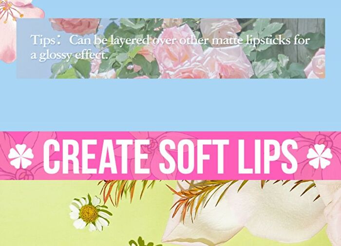 Set of 4: Lip Care & Hair Elastic Gift Set - Peach - #02 Peach