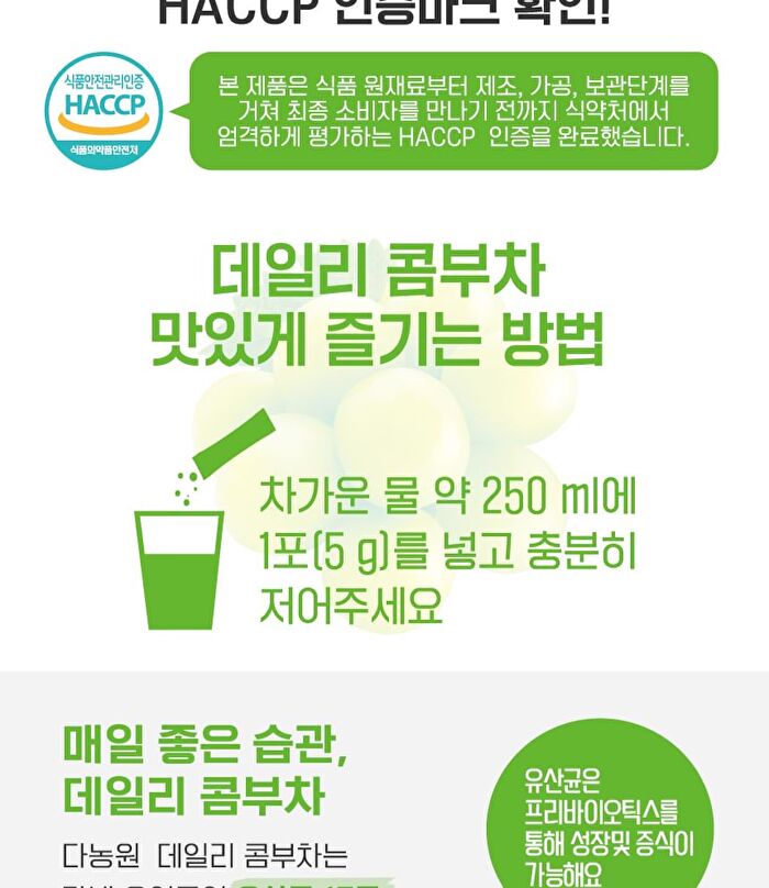 Daily Kombucha - 13 Types - Kiwi