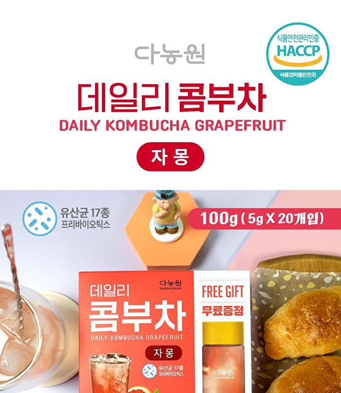 Daily Kombucha - 13 Types - Kiwi