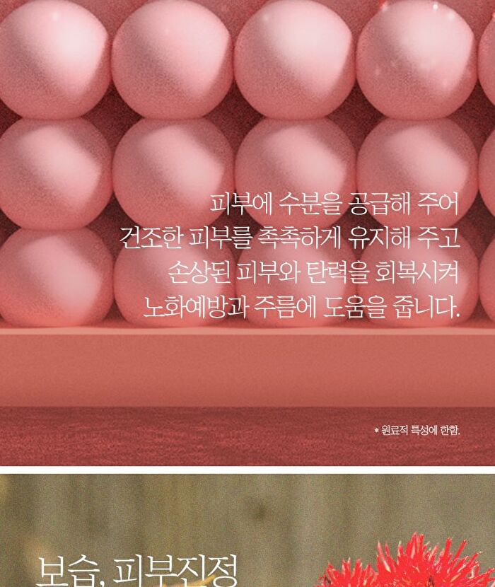 Design Your Beauty Collagen Eye Patch - 2024 Version - 3.1g