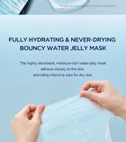 SKIN1004 Madagascar Centella Hyalu-Cica Hydrating Mask - 23ml x 1 sheet