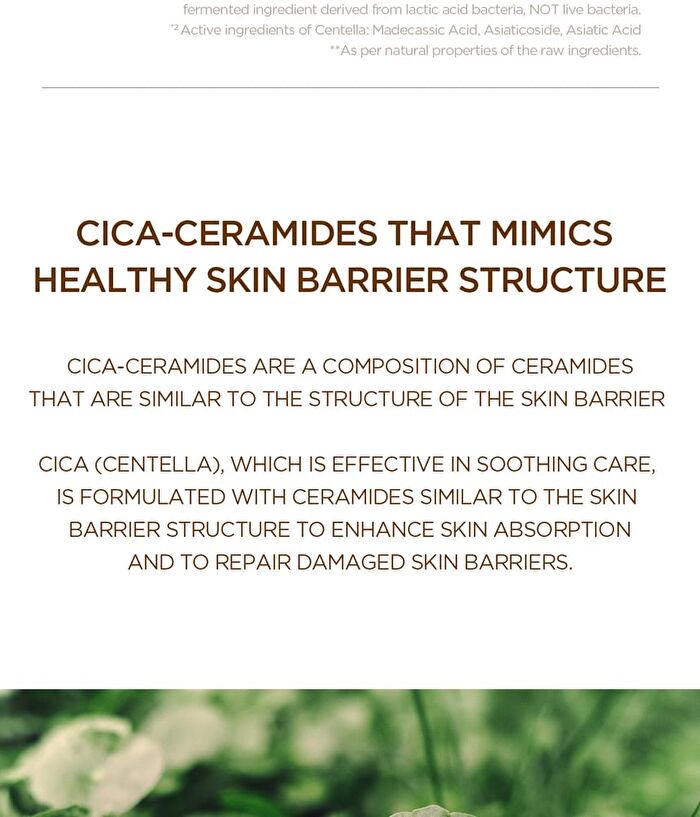 SKIN1004 Madagascar Centella Probio-Cica Nourishing Mask - 22ml x 1 sheet