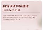 Little Dream Garden Rose Moisturizing Facial Mask Set - #Mask - 1 pc