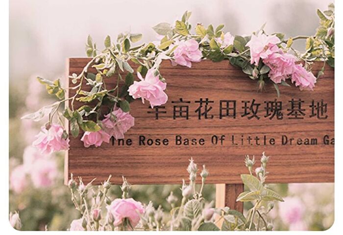 Little Dream Garden Rose Moisturizing Facial Mask Set - #Mask - 1 pc