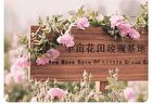 Little Dream Garden Rose Moisturizing Facial Mask Set - #Mask - 1 pc