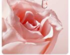 Little Dream Garden Rose Moisturizing Facial Mask Set - #Mask - 1 pc