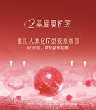 Peony Anti-Wrinkles Firming Essence Cream - 50g