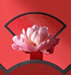 Peony Anti-Wrinkles Firming Essence Cream - 50g