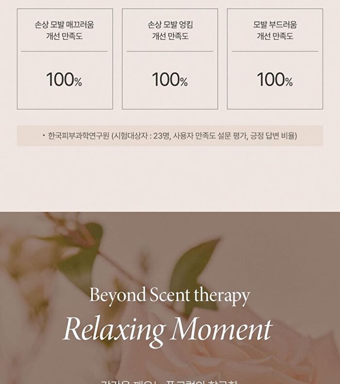 Argan Therapy Repairing Shampoo - 2025 Version - 500ml