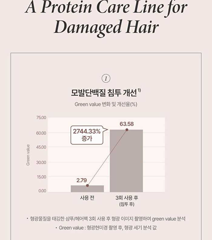 Argan Therapy Repairing Shampoo - 2025 Version - 500ml