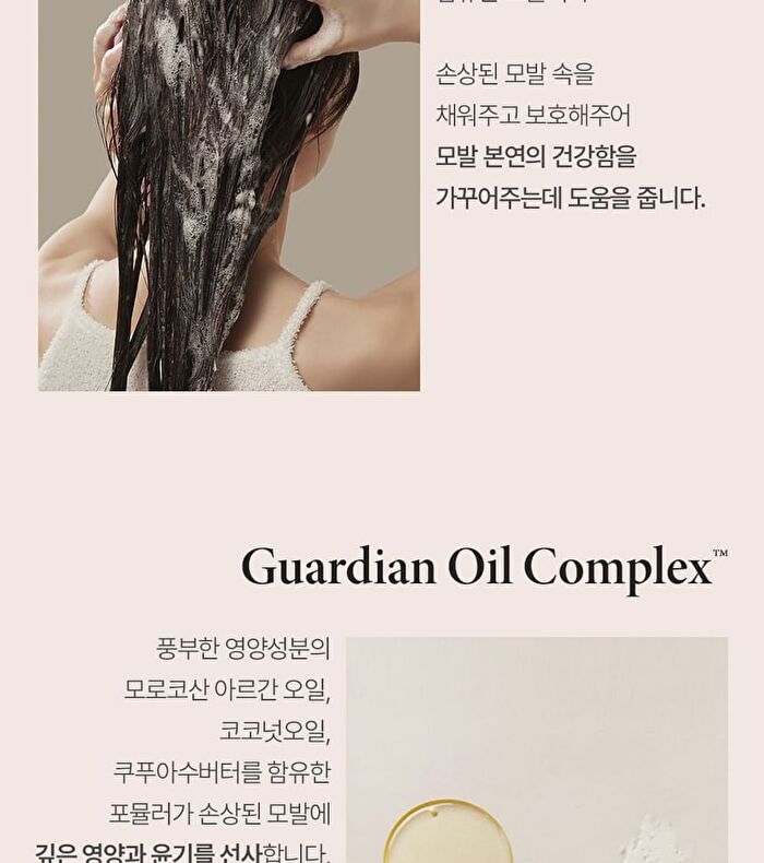Argan Therapy Repairing Shampoo - 2025 Version - 500ml