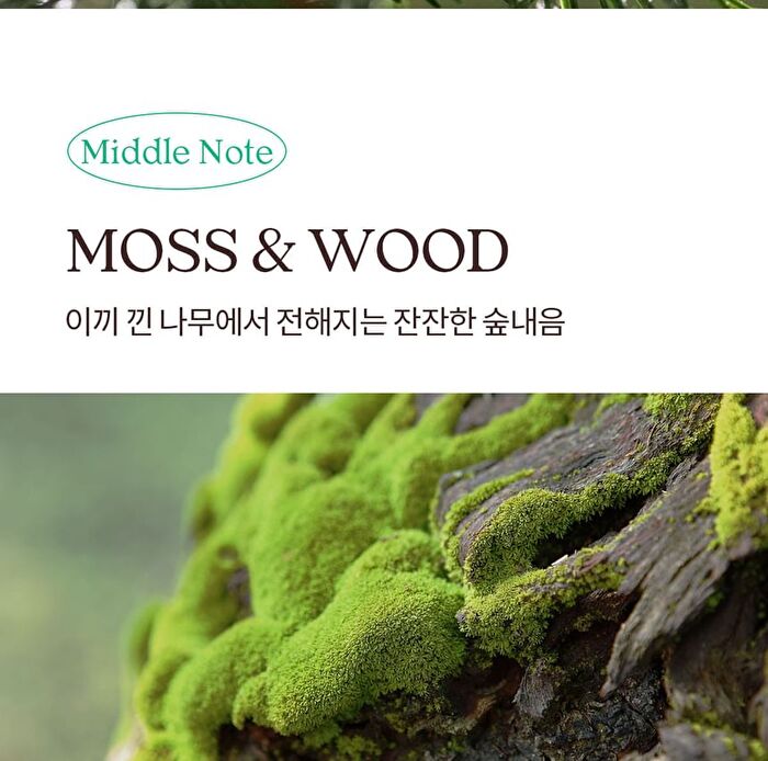 Ndp Naked Wood Hand Relief - 50ml