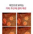 Pomegranate Vitamin C Brightening Ampoule Set - 2 pcs