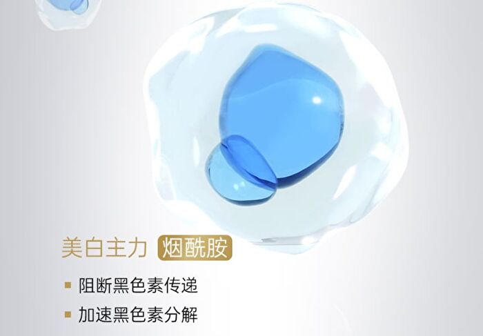 Whitening Moisturizing Facial Mask - #Mask - 1 pcs