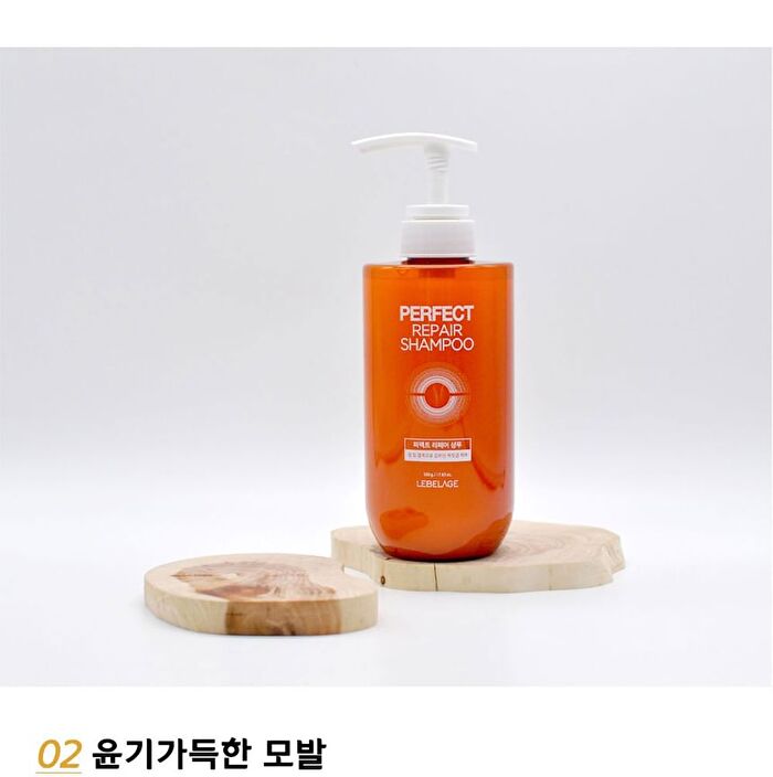 Perfect Repair Shampoo - 500ml