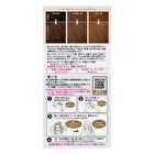 Liese Creamy Bubble Hair Color For Black Hair - Milk Tea Greige - 115ml
