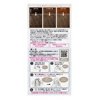 Liese Creamy Bubble Hair Color For Black Hair - Milk Tea Greige - 115ml