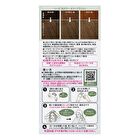 Liese Creamy Bubble Hair Color For Black Hair - Milk Tea Greige - 115ml
