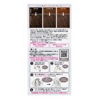 Liese Creamy Bubble Hair Color For Black Hair - Deep Violet - 115ml