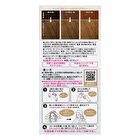 Liese Creamy Bubble Hair Color For Black Hair - Citron Ash - 115ml