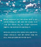 Friends Of The Sea Perfume Bar Set - 4 pcs