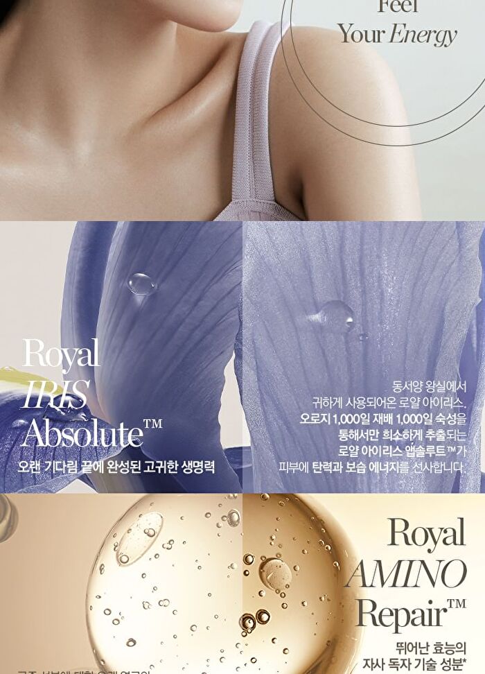 The Whoo Royal Regina Energetic Special Set - 5 pcs