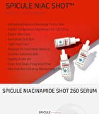 Aplb Spicule Niacinamide Shot 260 Serum - 40ml