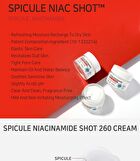 Aplb Spicule Niacinamide Shot 260 Cream - 55ml
