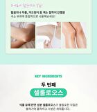 Scrub Jumbo - 3 Types - Break