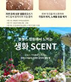 Scrub Jumbo - 3 Types - Break