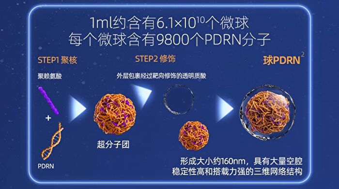 DNA Sodium (PDRN) Shaping Repairing Essence - Set (1.5ml x 30pcs)