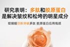 Plumping Firming Anti-Wrinkles Collagen Cream - 50g