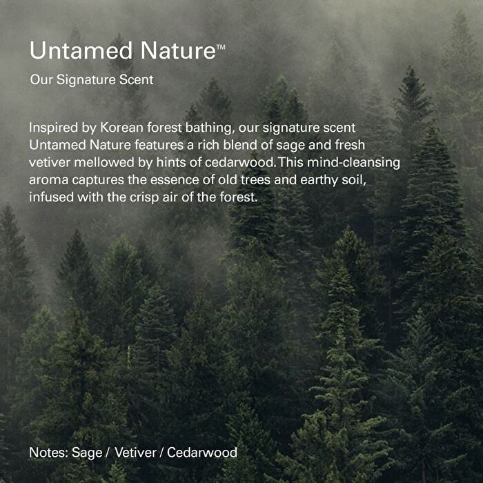 Vegan Lip & Hand Care Kit #Untamed Nature - 2 pcs