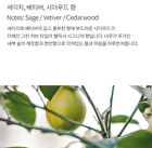 Vegan Lip & Hand Care Kit #Untamed Nature - 2 pcs