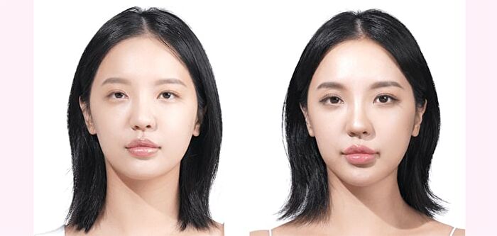 I\'m Meme I\'m Multi Stick Dual - 2 Types - 2025 Version - #01 Contouring