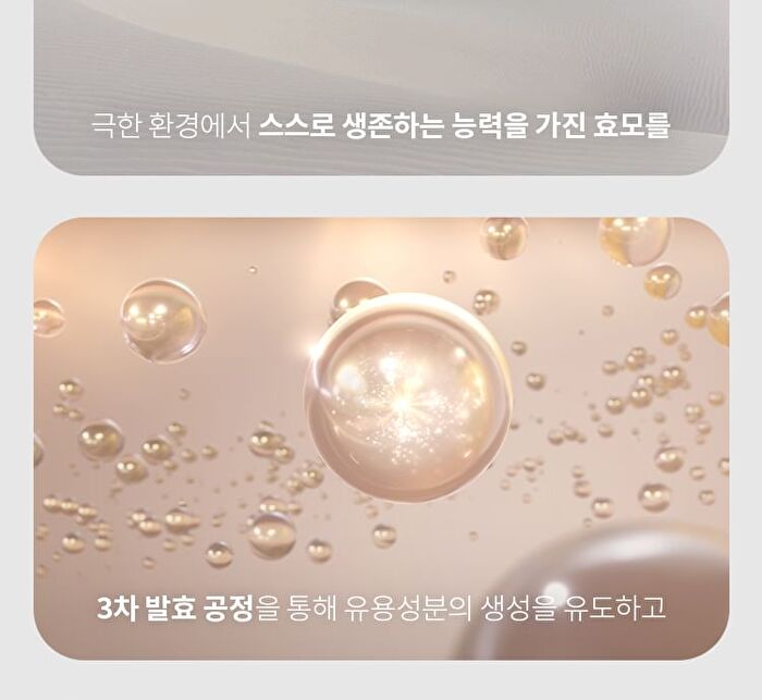 Time Revolution The First Essence Pads Refill Only - 75 pads