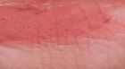 romand Color Lip Matte - 8 Colors - #06 Strawberry Whip