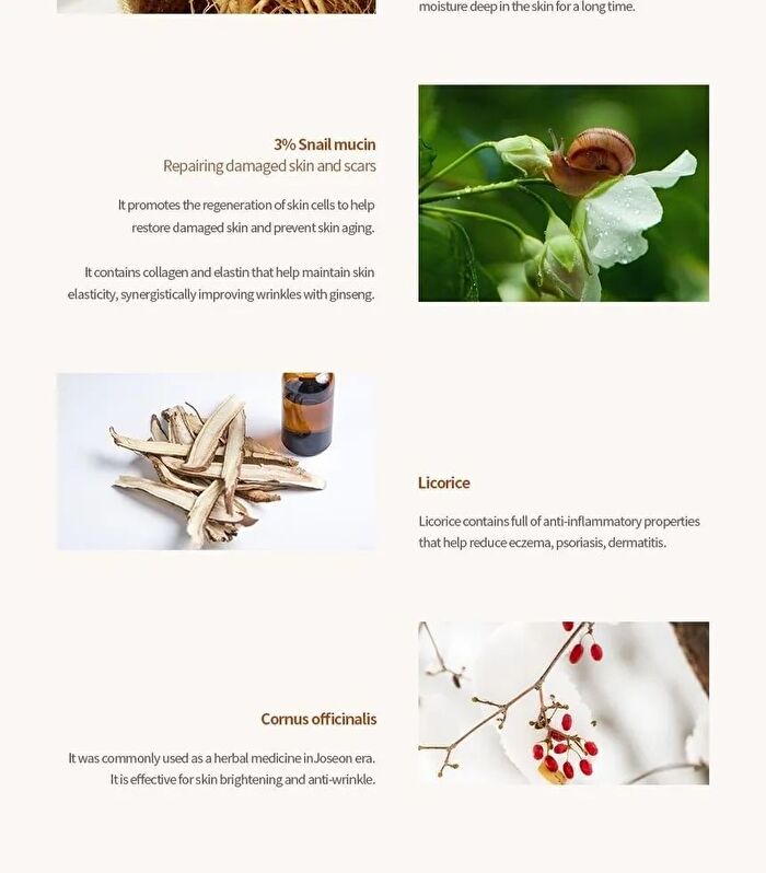 Beauty of Joseon Revive Serum Jumbo - 60ml